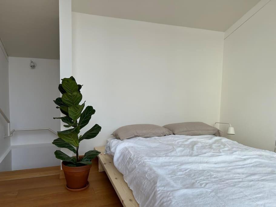 Casa Alegria Διαμέρισμα Τρέντο Εξωτερικό φωτογραφία